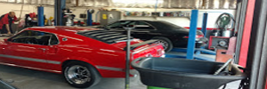 Car in bay